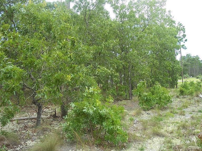 1st image of 1065 Fillmore Road LOT 19
