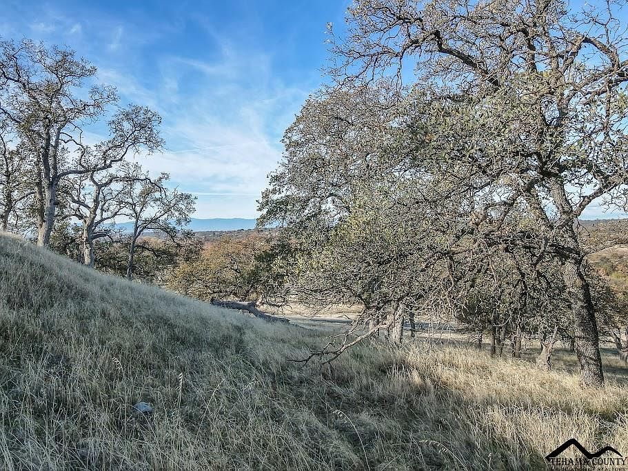 0 Paynes Creek Rd, Red Bluff, CA 96080 MLS 20230472 Zillow