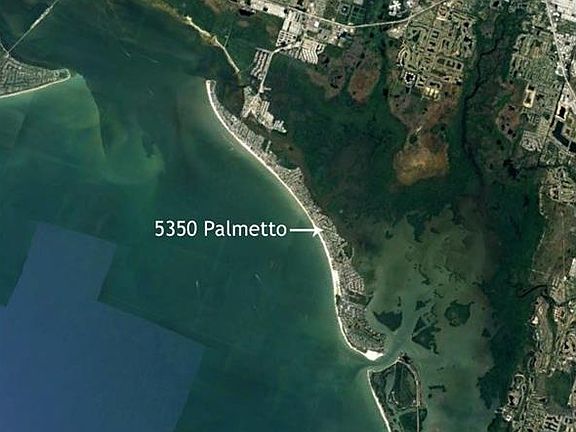 3rd image of Palmetto St