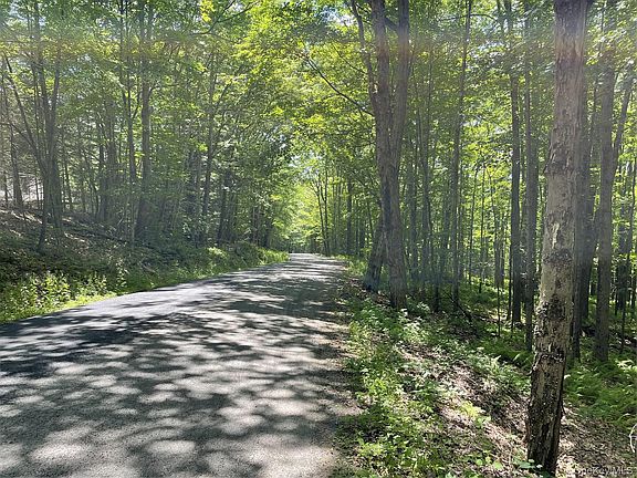 2nd image of Skip Gray Road