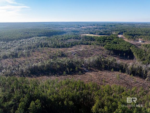 5th image of 2 Beverly Jeffries Hwy
