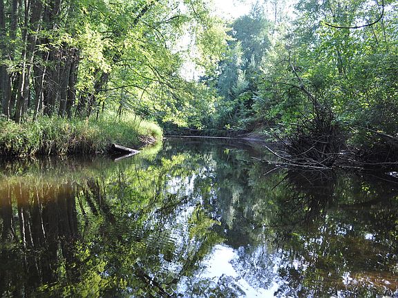 3rd image of 7.38 Acres Cty #J