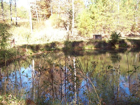 5th image of Wood Forest Dr