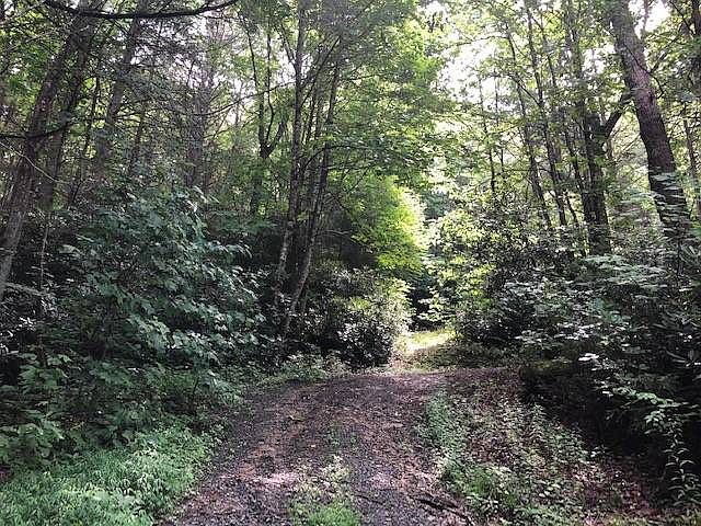 2nd image of Dark Hollow Rd