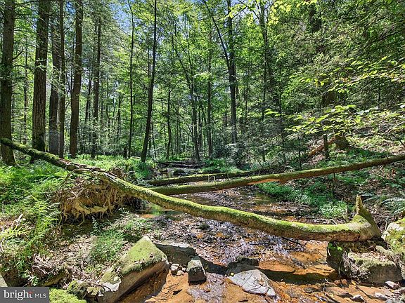 3rd image of 1494 Mountain Rd