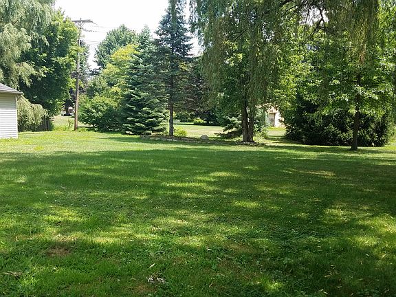 Backyard view from Kitchen