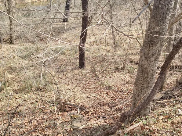 0 Starlight Ln, Boones Mill, VA 24065