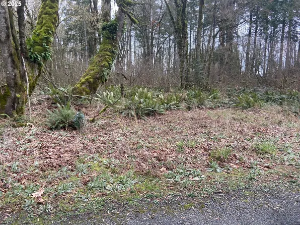 0 Forest Park Rd #19326, Rainier, OR 97048