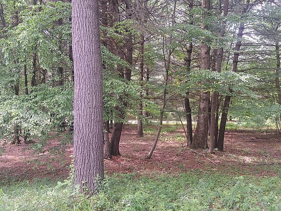 5th image of Longhorn Rd Lot Wp004