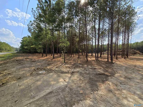 Covington Ave SE, Attalla, AL 35954