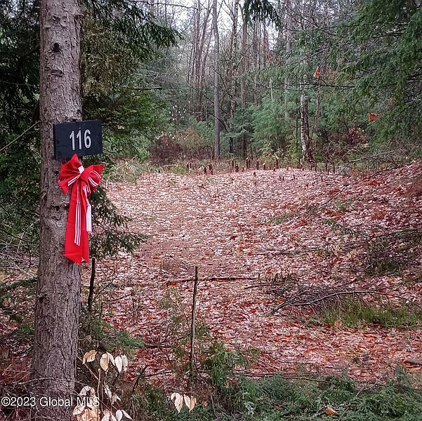 4th image of 116 Forest Lake Road