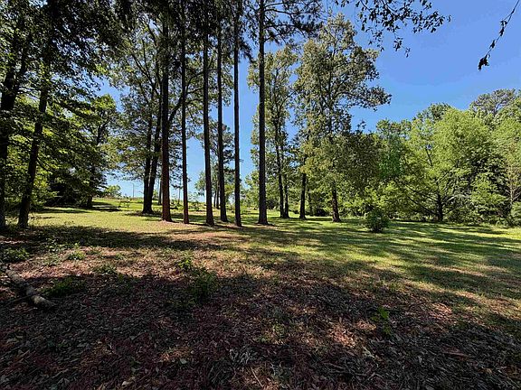 5th image of 10196 County Road 3202