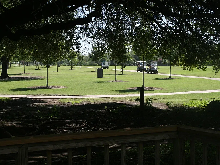 View of from the deck in the summer.