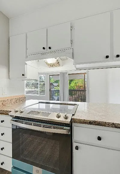 4526 S Henderson St #301 — Photo 8