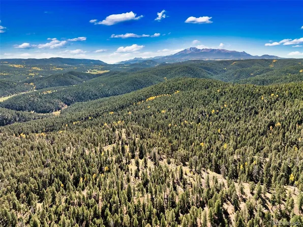 Unknown, Woodland Park, CO 80863