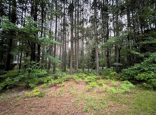 Lady Slipper Dr, Fairview, MI 48621