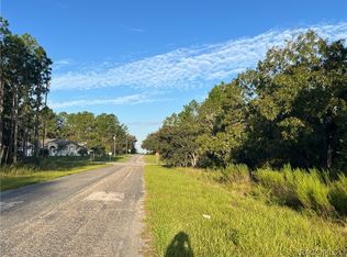 849 W Hummingbird Dr, Dunnellon, FL 34434