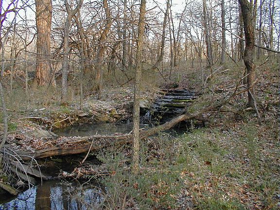 Southeast corner of property