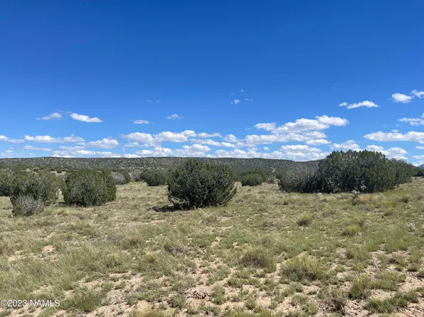 2272 W Critter Pass, Williams, AZ 86046