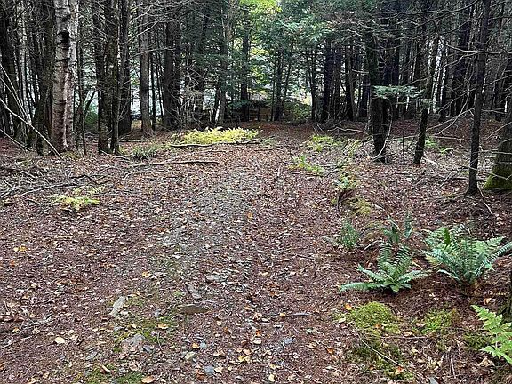 2nd image of 258 Moyle Mader Rd