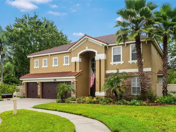 7445 MINNOW BROOK WAY, LAND O LAKES, FL 34637