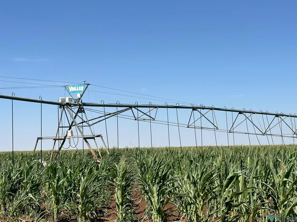 103 County Road T, Farwell, TX 79325