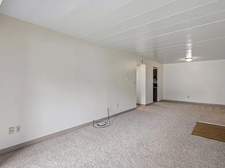 Forest Apartments — Photo 6