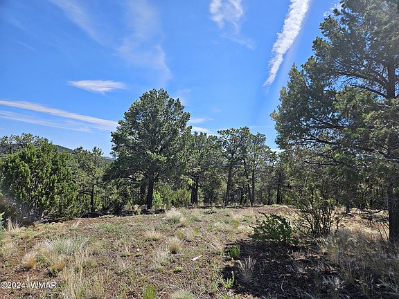 3rd image of 827 County Road 3145