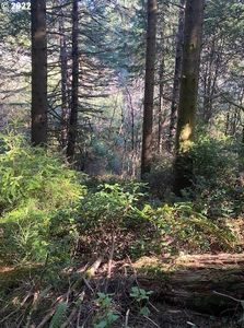 Park Rd, Pt Orford, OR, 97465