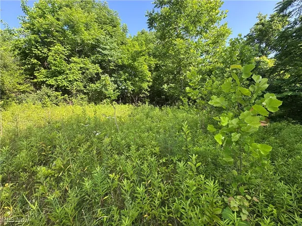 10170 Pierson Ln, McConnelsville, OH 43756