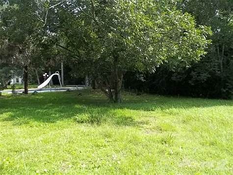 Rear Yard