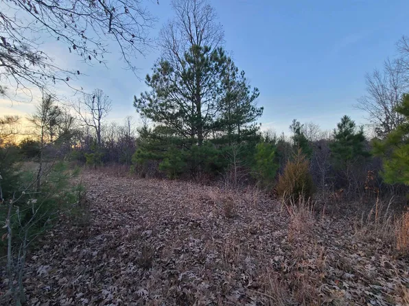 (undisclosed Address), Rector, AR 72461