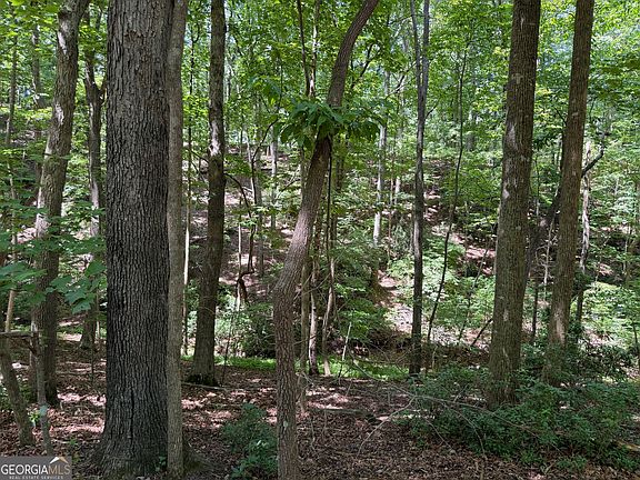 4th image of 7 Ivy Hills Dr