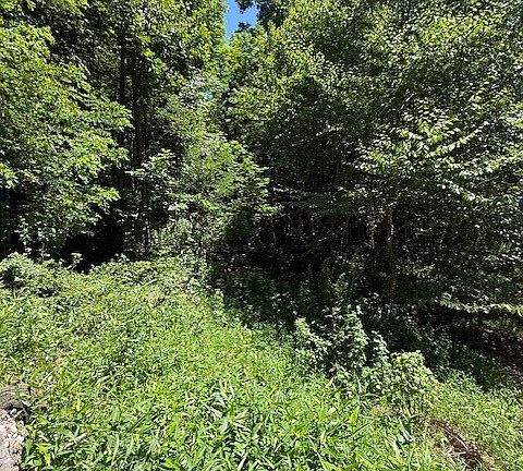 3rd image of TBD Lot 37B Shady Valley Drive