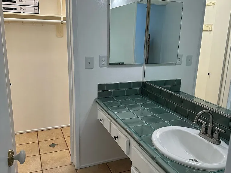 Master bathroom and bathroom closet