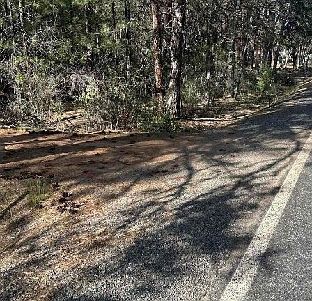 2nd image of 5711 Scott River Rd