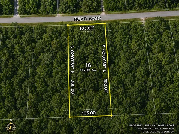 4560 Road 66112 Lot 16, Dayton, TX 77535