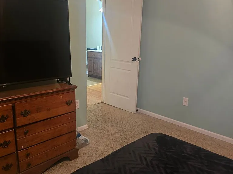161 Lyle Curtis Cir — Photo 29