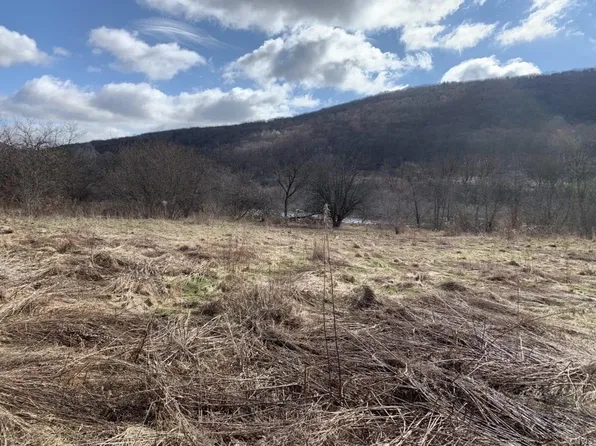 487 Nys Rte #446, Hinsdale, NY 14743