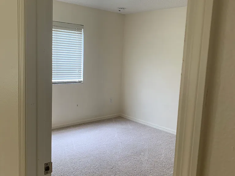 4459 Cherry Branch Ct — Photo 46