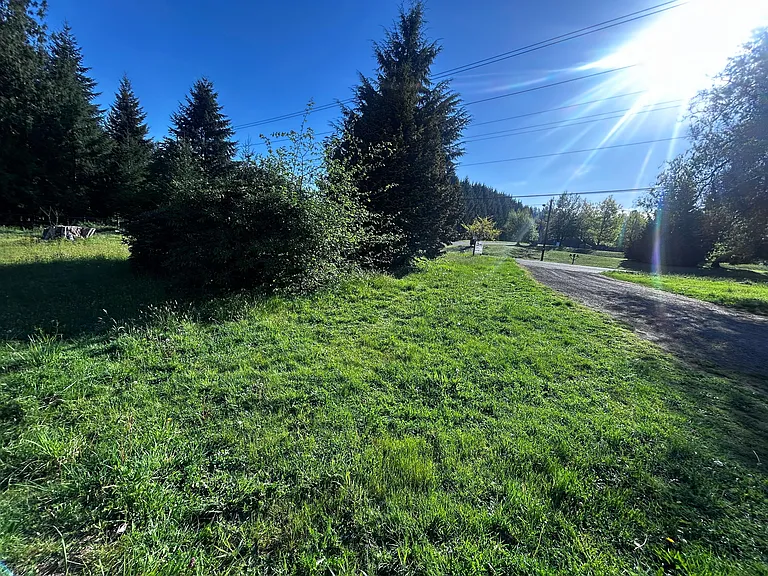 10823 To 10827 Littlerock Rd SW — Photo 4