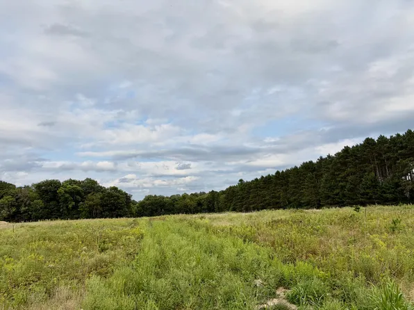 Tulip St NW, Stanchfield, MN 55080