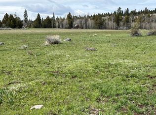 10126 Twenty Mile Rd, Adel, OR 97620