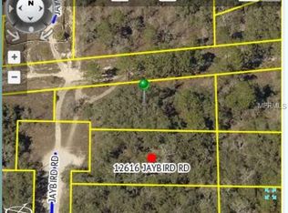 12626 Jaybird Rd, Weeki Wachee, FL 34614