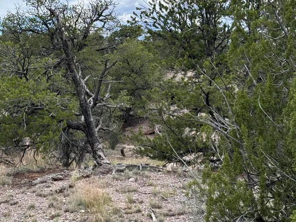 79 Abbe Spgs, Magdalena, NM 87825