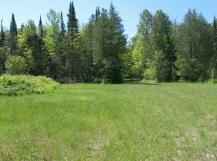 10558 E Gogomain Rd, Goetzville, MI 49736