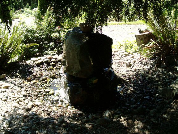 Fountain under seqouia