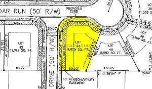 lot 41