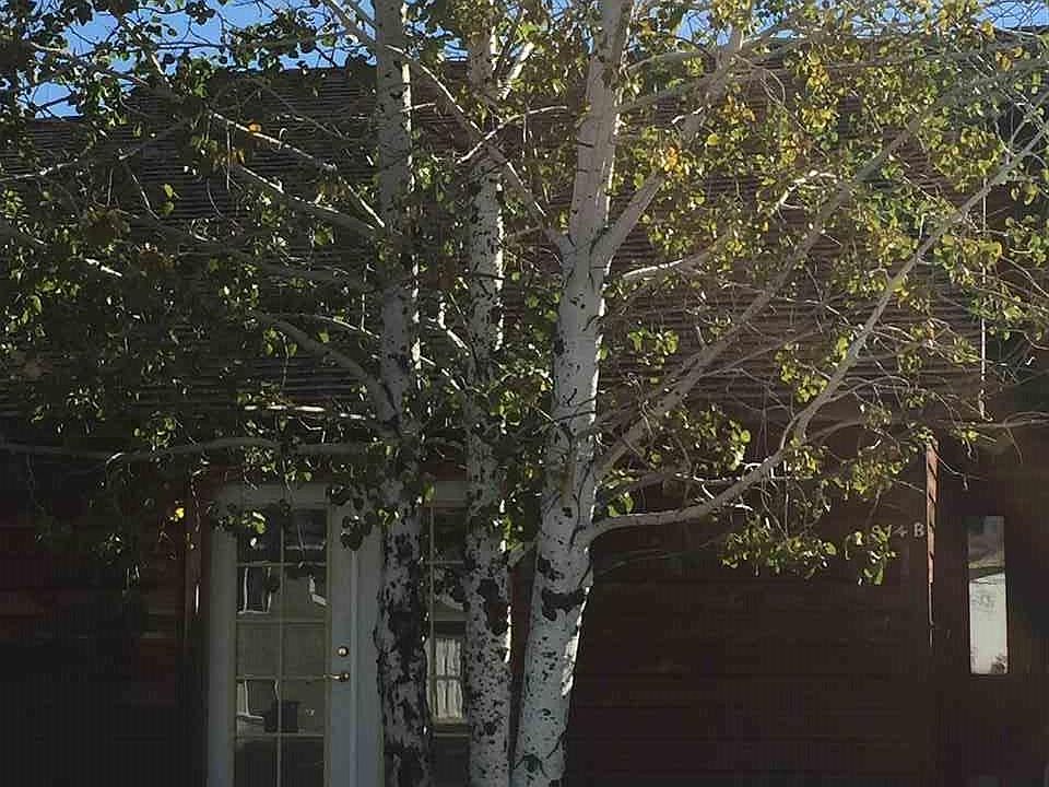 1st image of 914 Montana St APT B