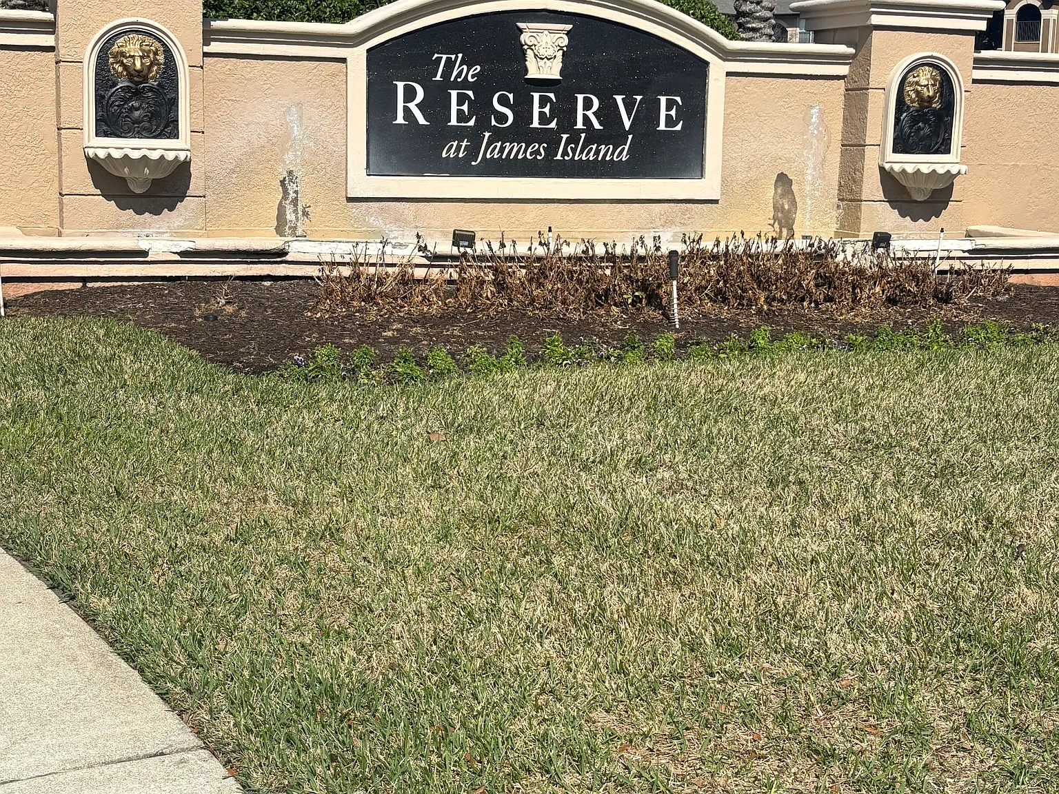 2 bed, 1244 sqft, $1,900 — Photo 1